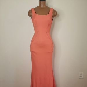 Zac by Zac Posen dress